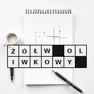 Hasło krzyżówkowe lepidochelys olivacea najmniejszy gatunek gada z całej rodziny żółwi morskich jest najliczniej występującym żółwiem na świecie i jednym z najbardziej wykorzystywanych przez ludzi polowania hande - żółw oliwkowy – rozwiązanie, synonimy, podpowiedzi i definicje krzyżówkowe